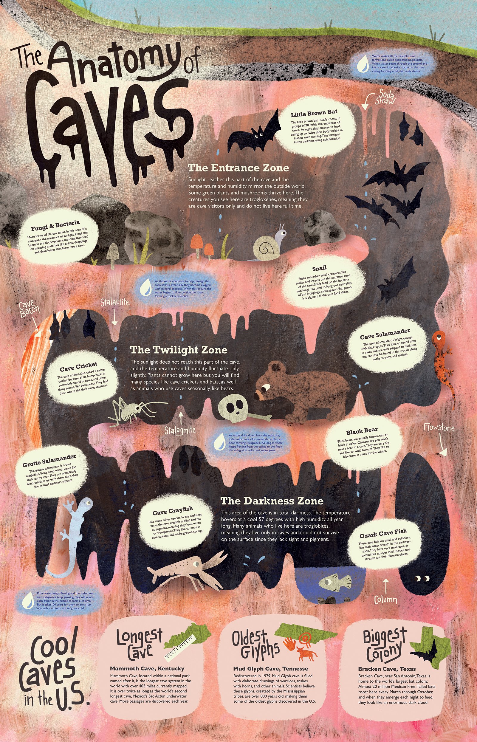 ExplainerPoster_PostSchoolUpdates_LowRes.jpg