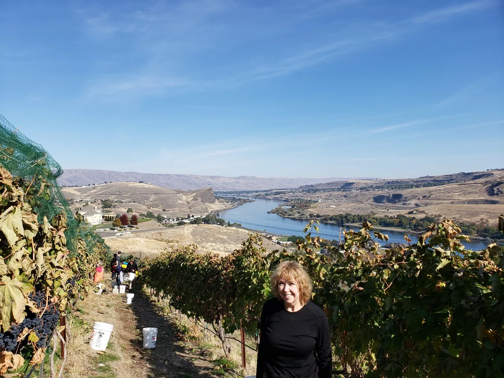 helping Library Foundation fundraiser by picking grapes.jpg