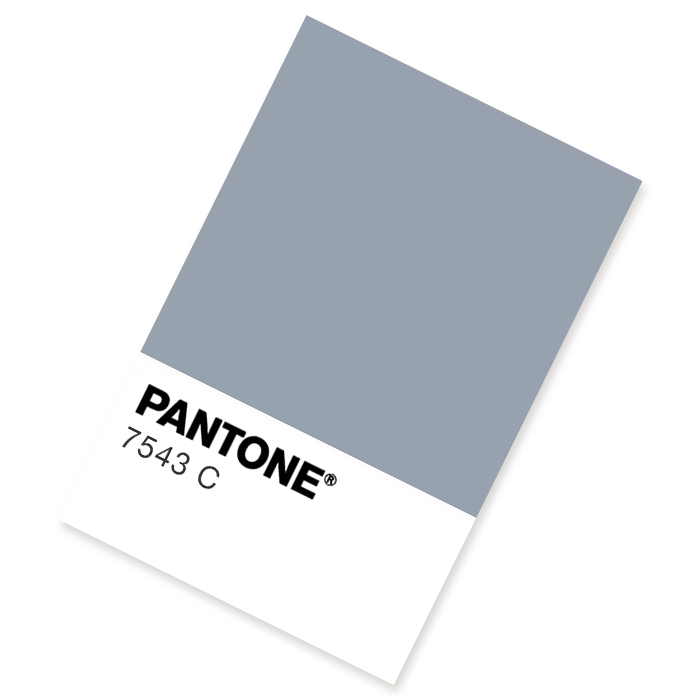 Dark Grey Pantone Chip