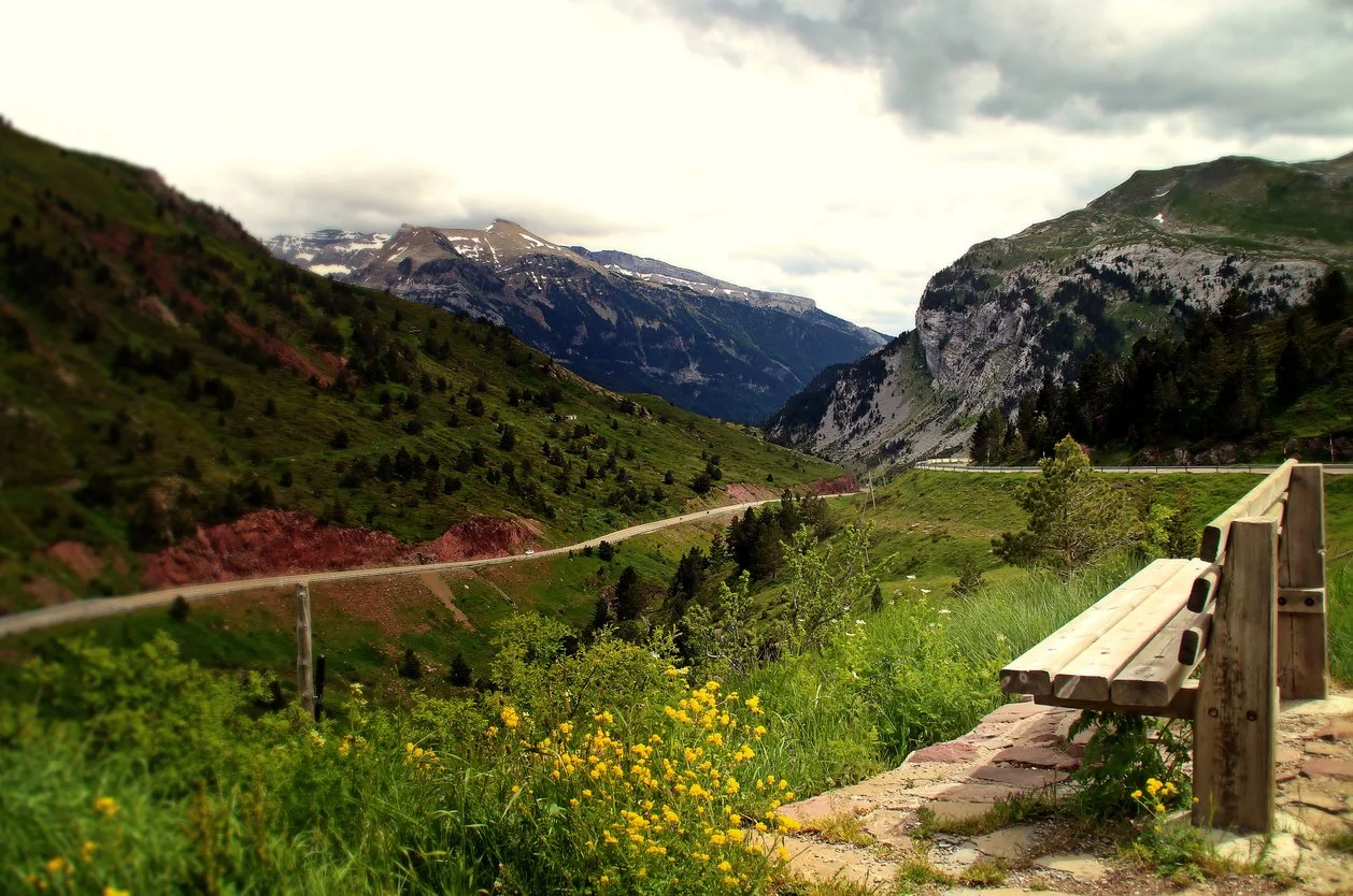 Patient Perfectionism