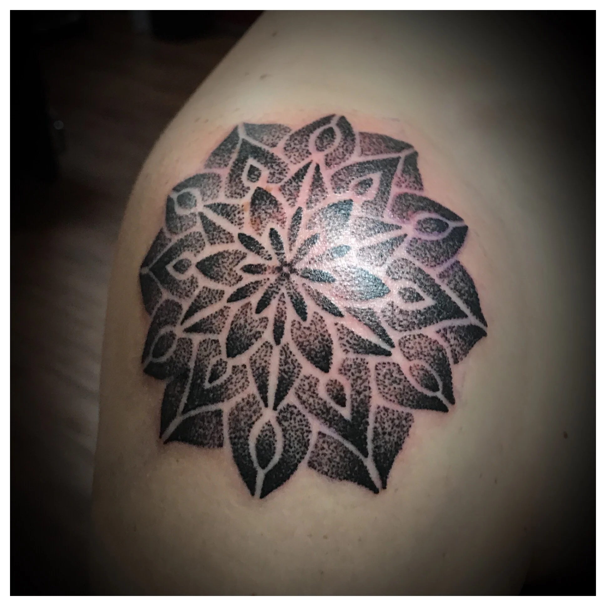 Mason Turbyfill Tattoo Shop Asheville Valiant Inscriptions Marc Robertson —  Valiant Inscriptions