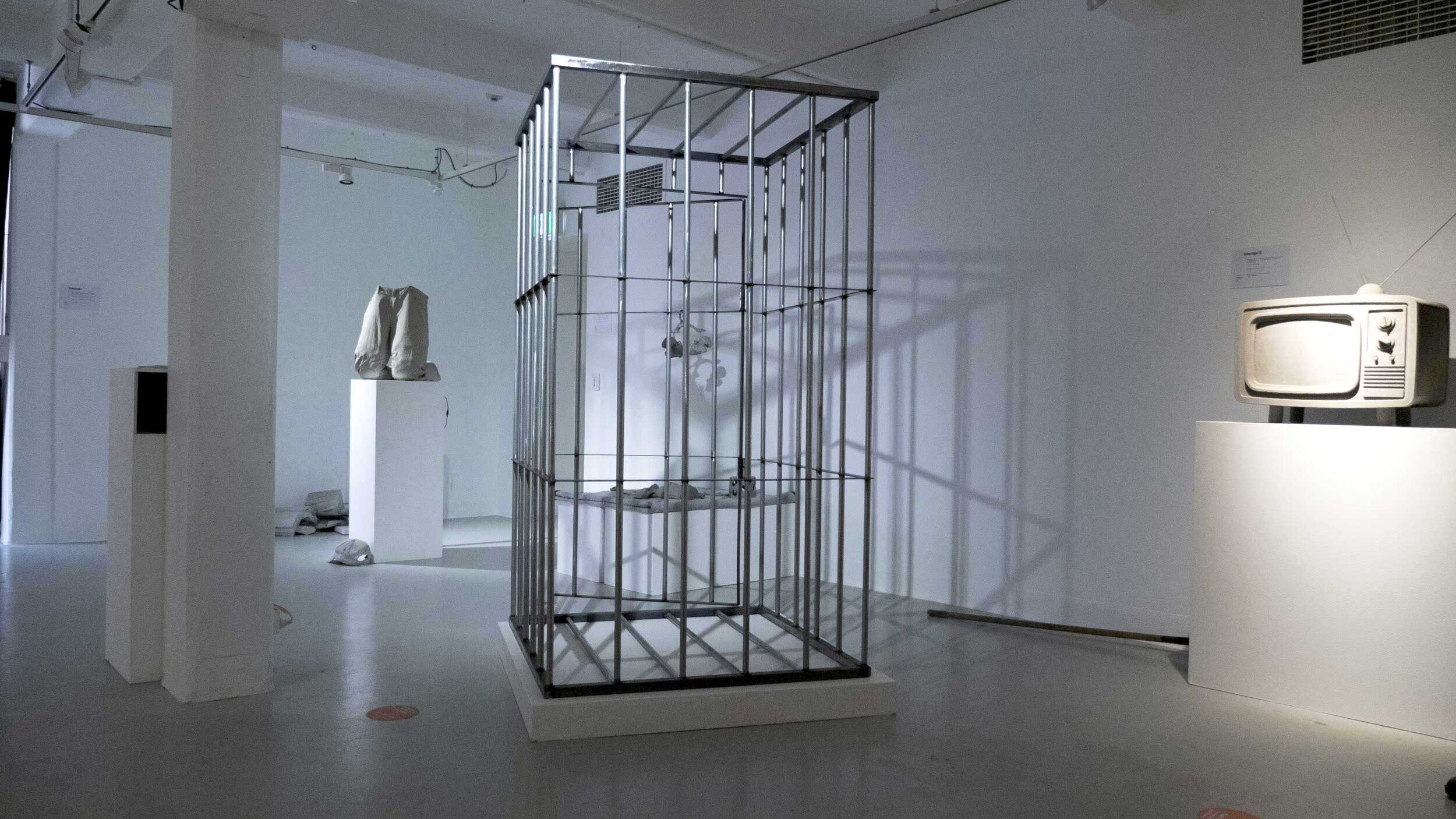 this is not a cage (Jen Lyons-Reid, Carl Kuddell, Felix Weber)