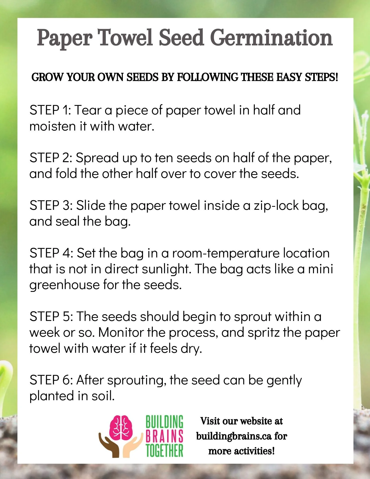 Gardening — Building Brains Together