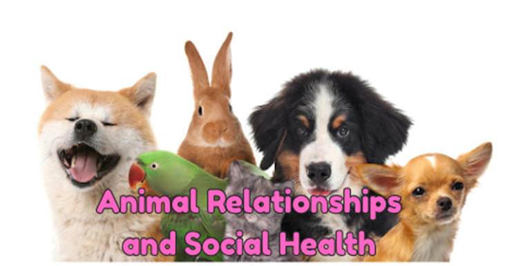 Animal Relationships and Social Health