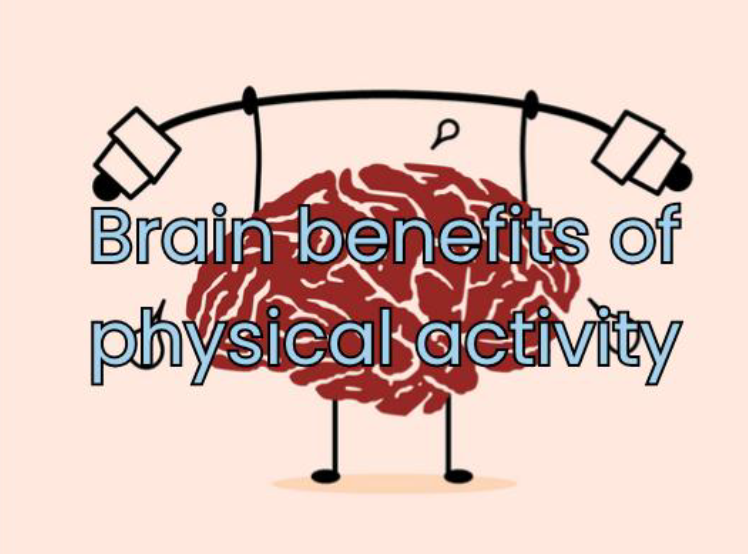 Brain Benefits of Physical Activity