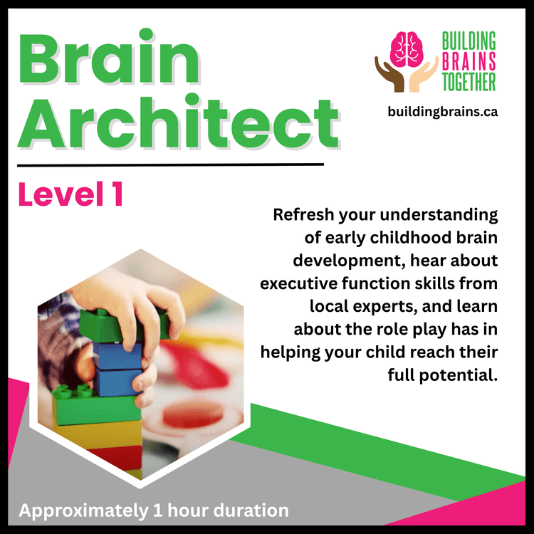Free Courses — Building Brains Together