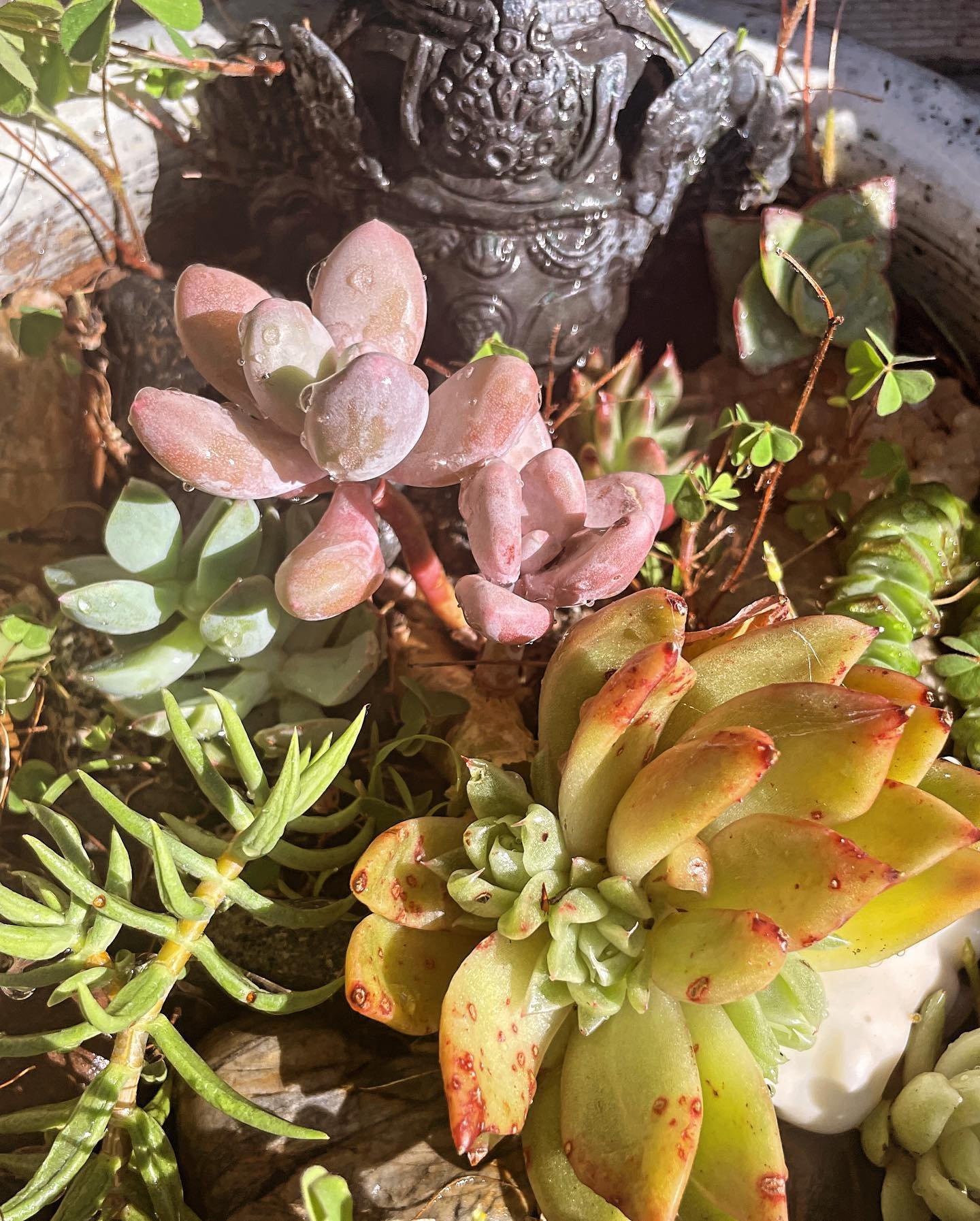 Everything is connected energetically, beauty May even bury the obstacles by accepting them graciously &amp; moving on confidently 🙌🏽🌬🌊💃🏽 @manifestationbabe 
#magneticmoneymb  #movethroughmudras 🧘🏻&zwj;♀️
#succulentlove #riverflowsinyou #beyo