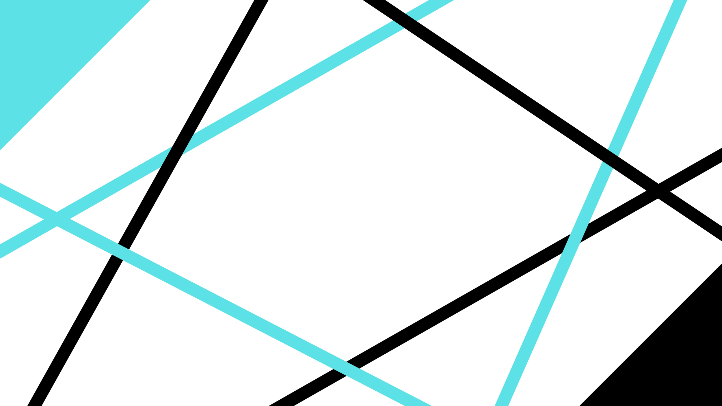 The Student Conference the-student-conference