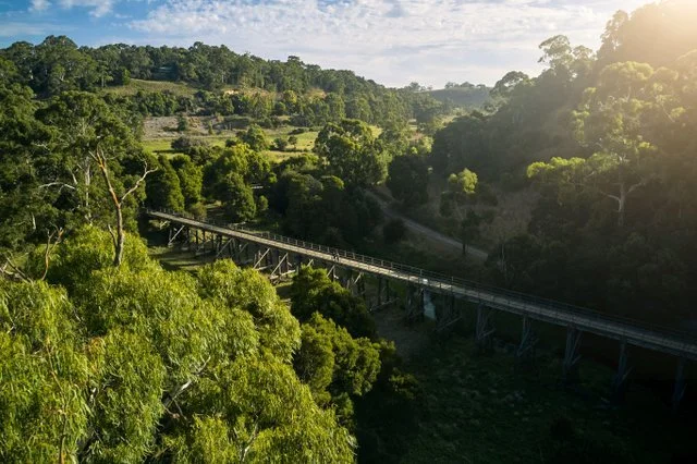 Timboon bridge drone view DJI_0688-min-small.jpg