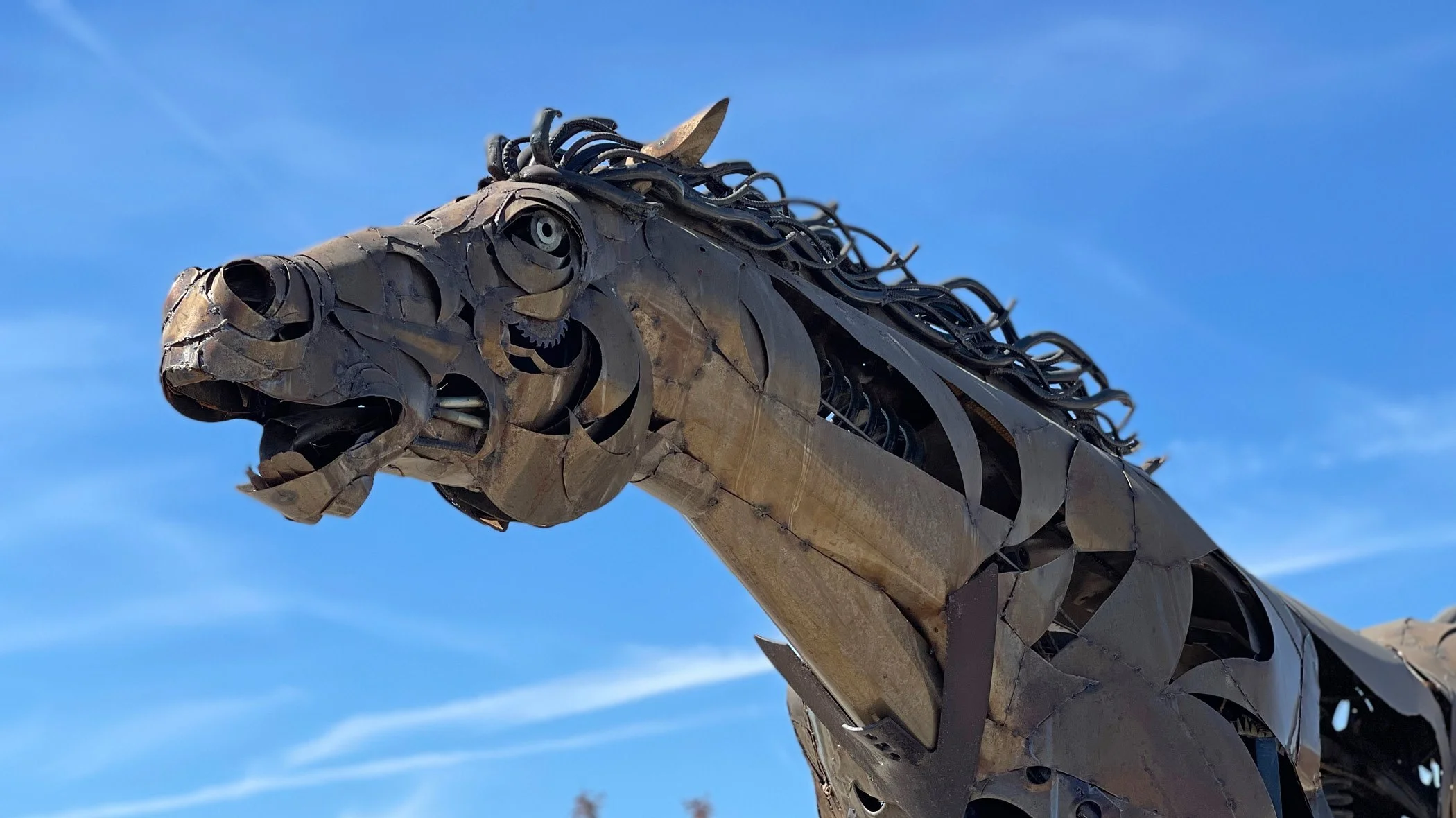 Windsor Clovis Banner Area - Horse.jpg