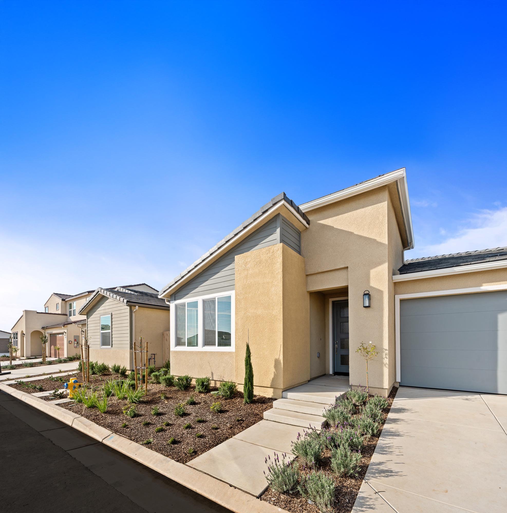 RP Features 1 r1.jpg