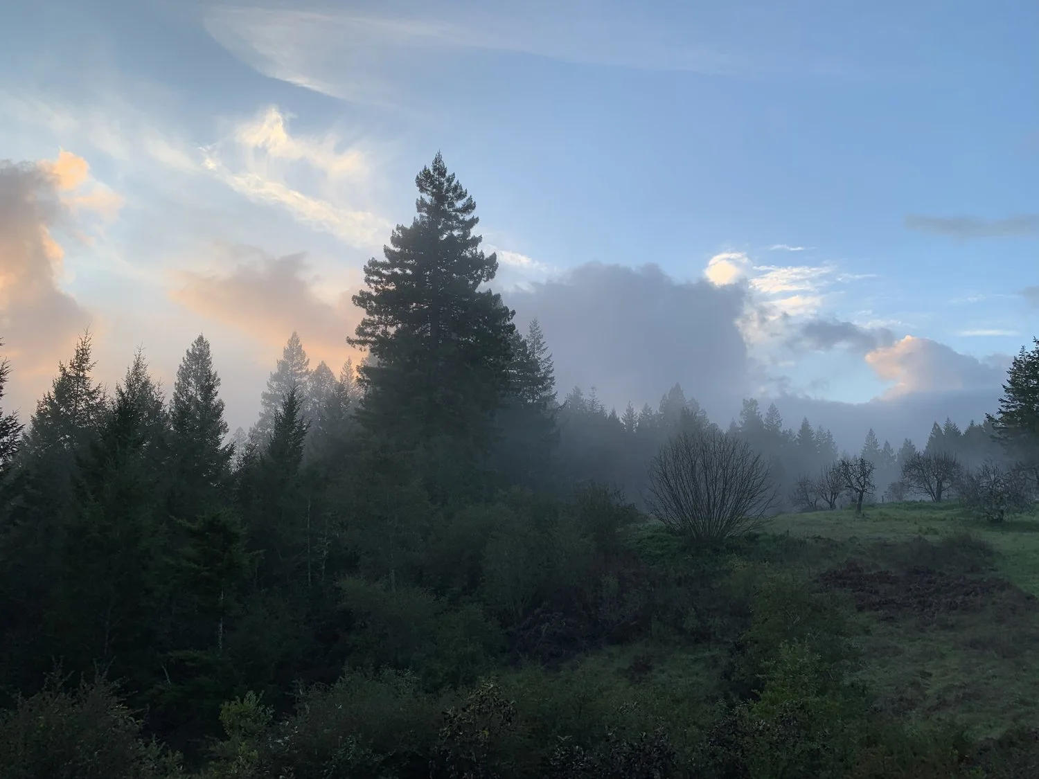 Our Farm