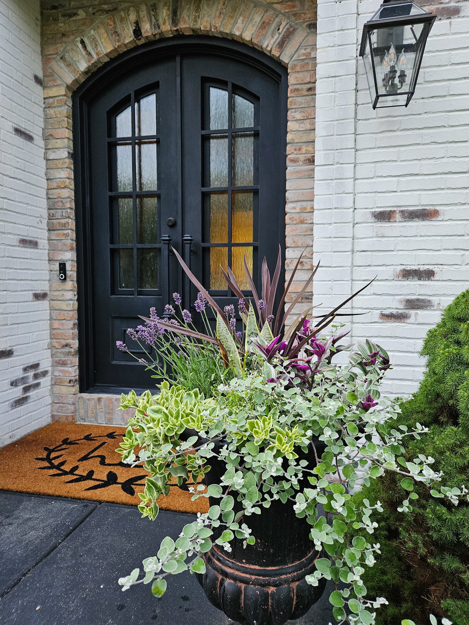 Front door with a large black planter filled with various green and purple plants, white brick wall, black door, and outdoor lantern light fixture.