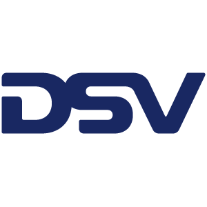 DSV_Logo kopie.png