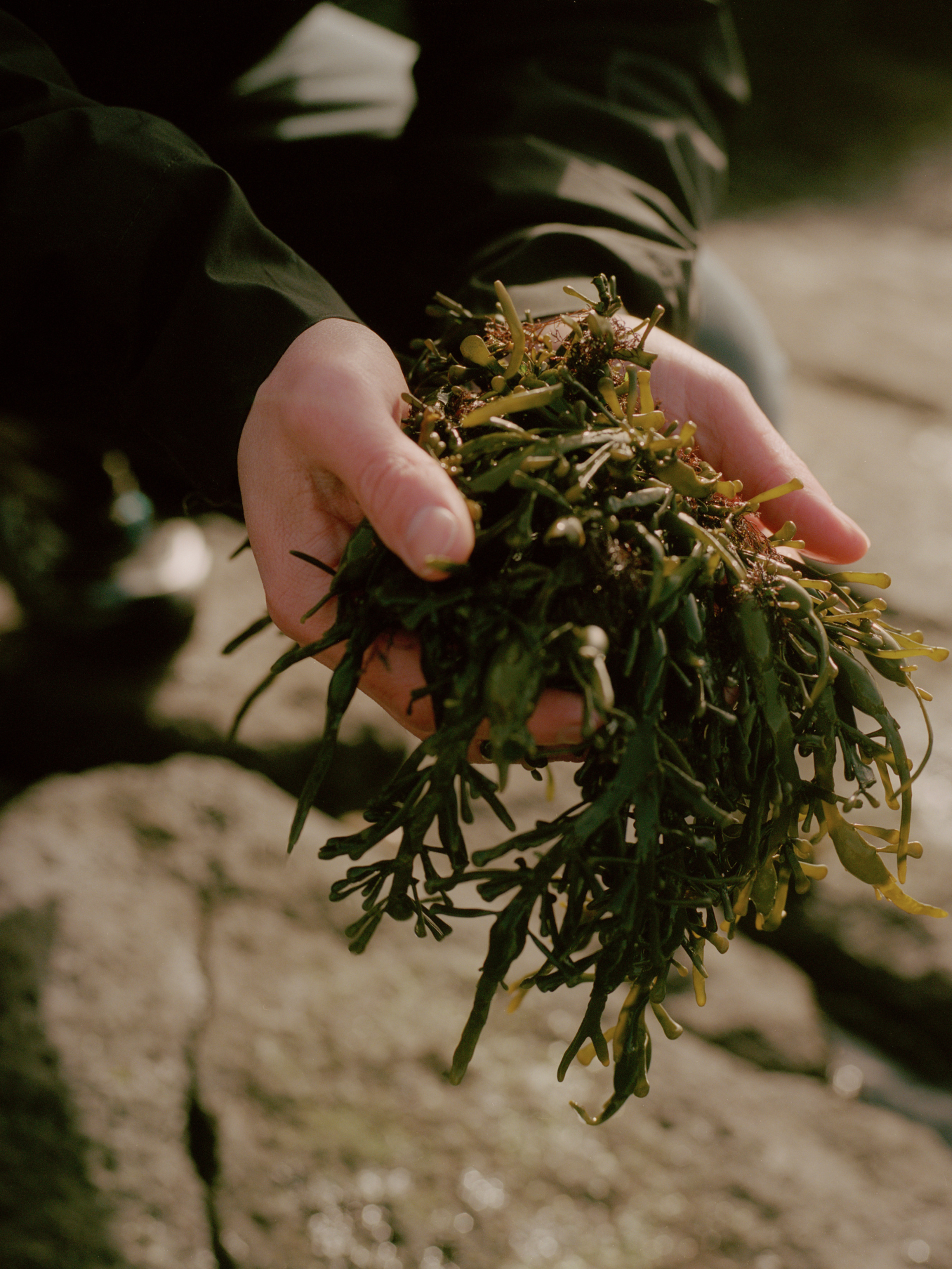 Thorup Copenhagen_Paz interior Case_6.png