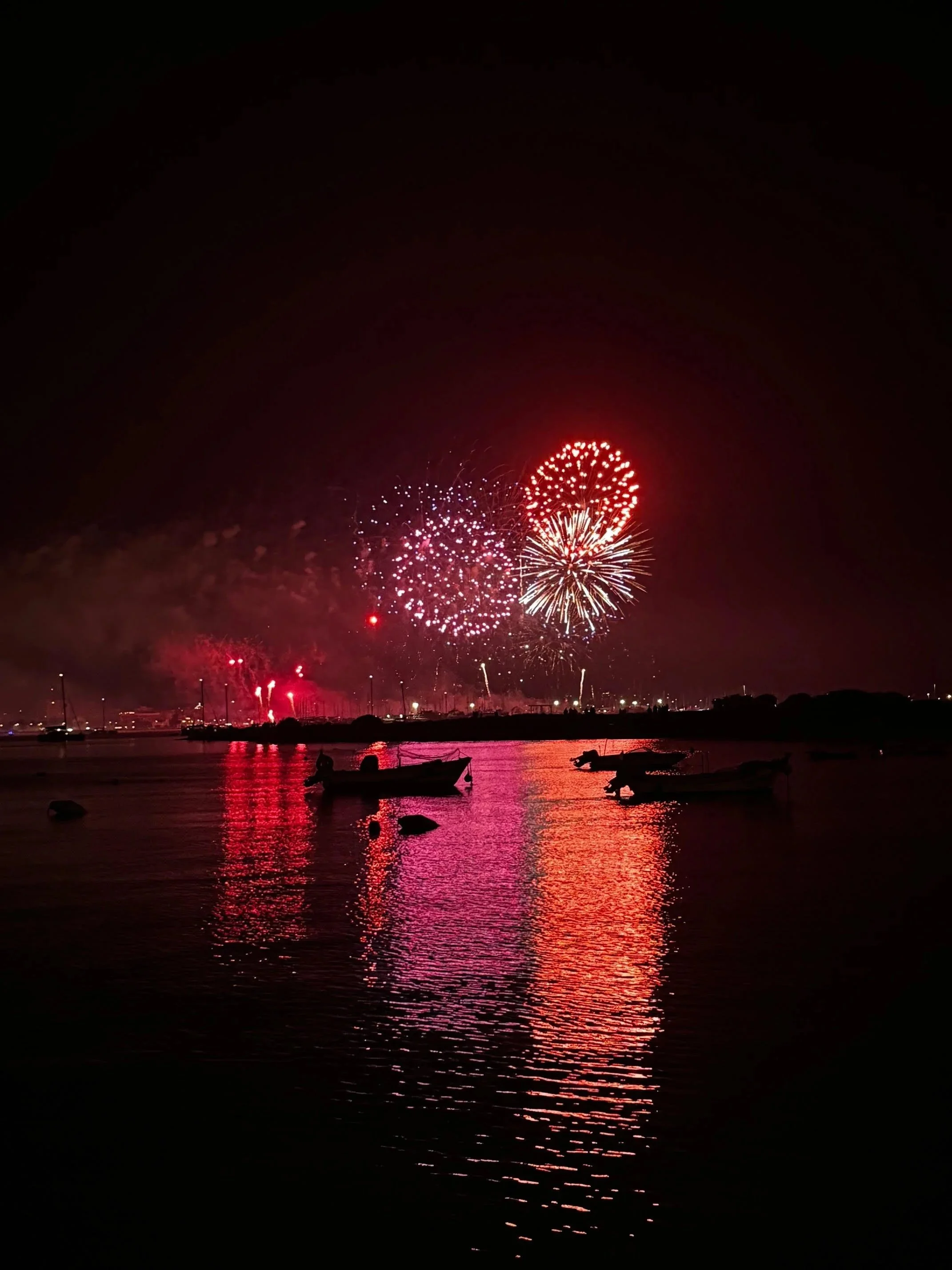 New Year Intention + Release Journal Prompts (2025 ---> 2026)