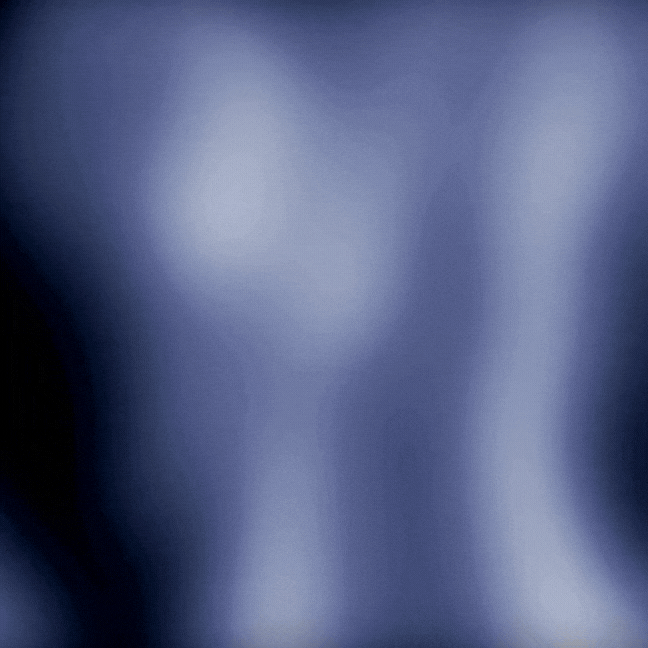 Passvult_website_video (1).gif