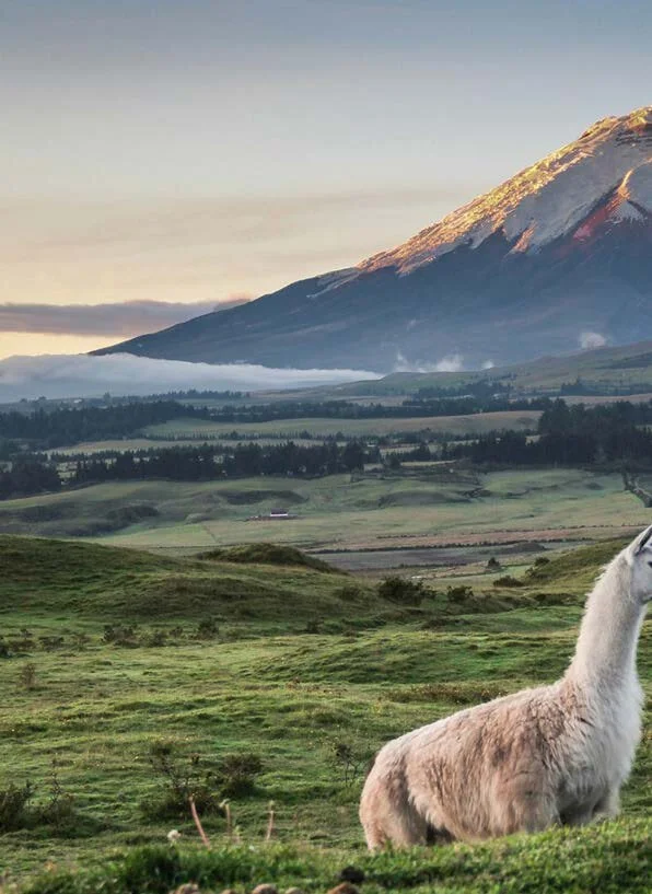 Ecuador Brochure - Keyhole_Page_05.jpg