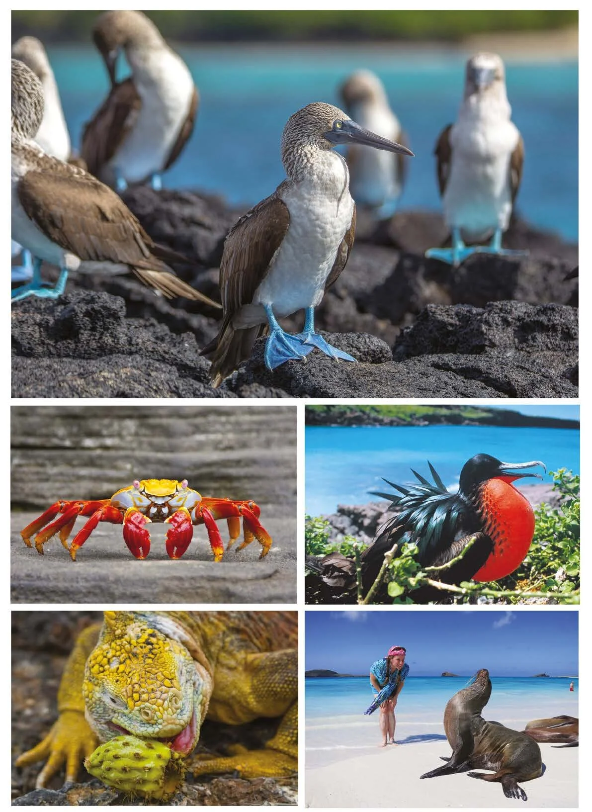 Ecuador Brochure - Keyhole_Page_22.jpg