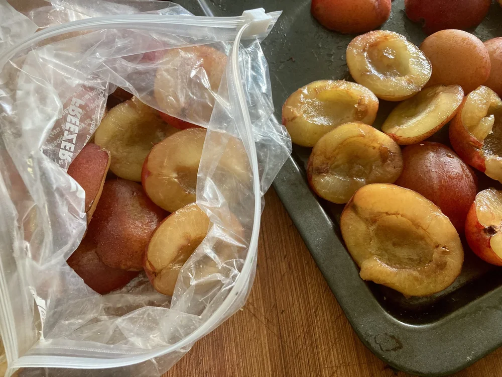 Freezing Fruit | Lee & The Sweet Life