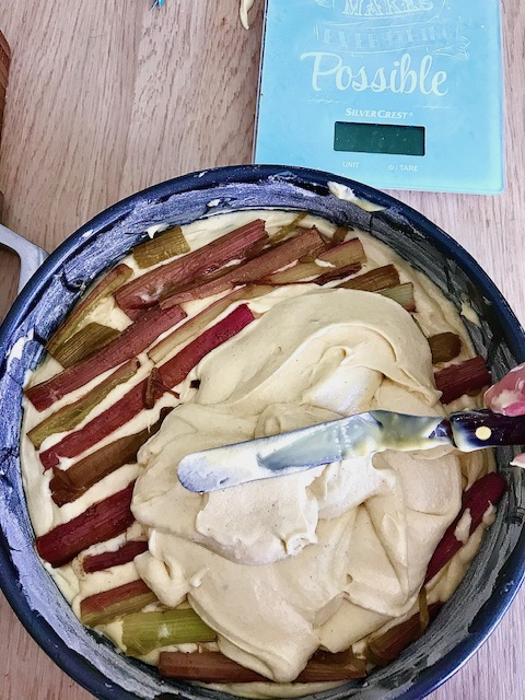 Rhubarb & Custard Cake
