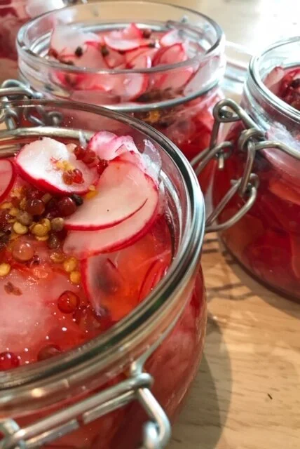 Pickled Radishes - You Can Pickle Anything!