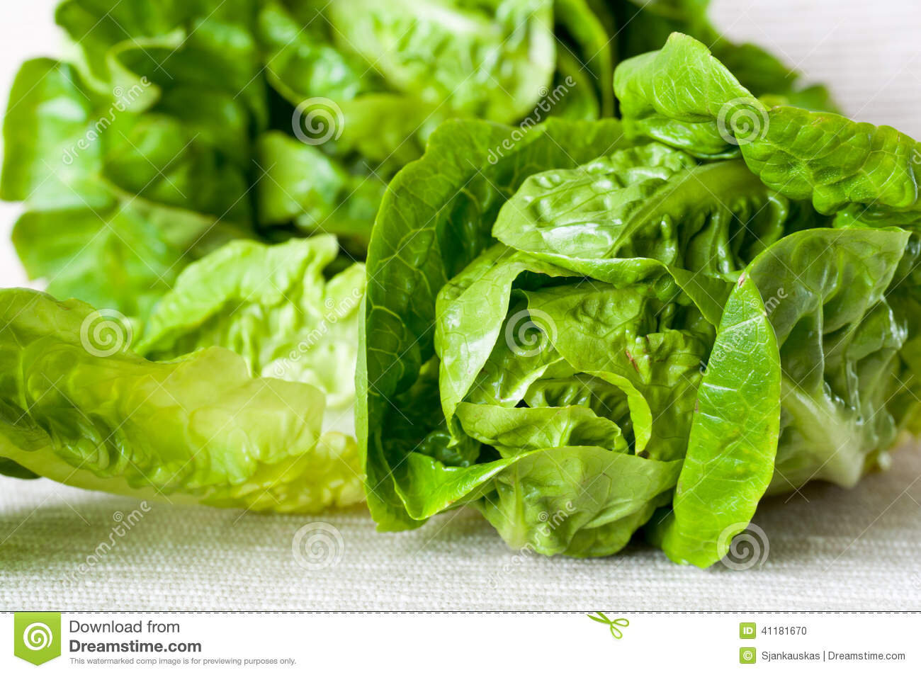 Little gem lettuce.jpeg