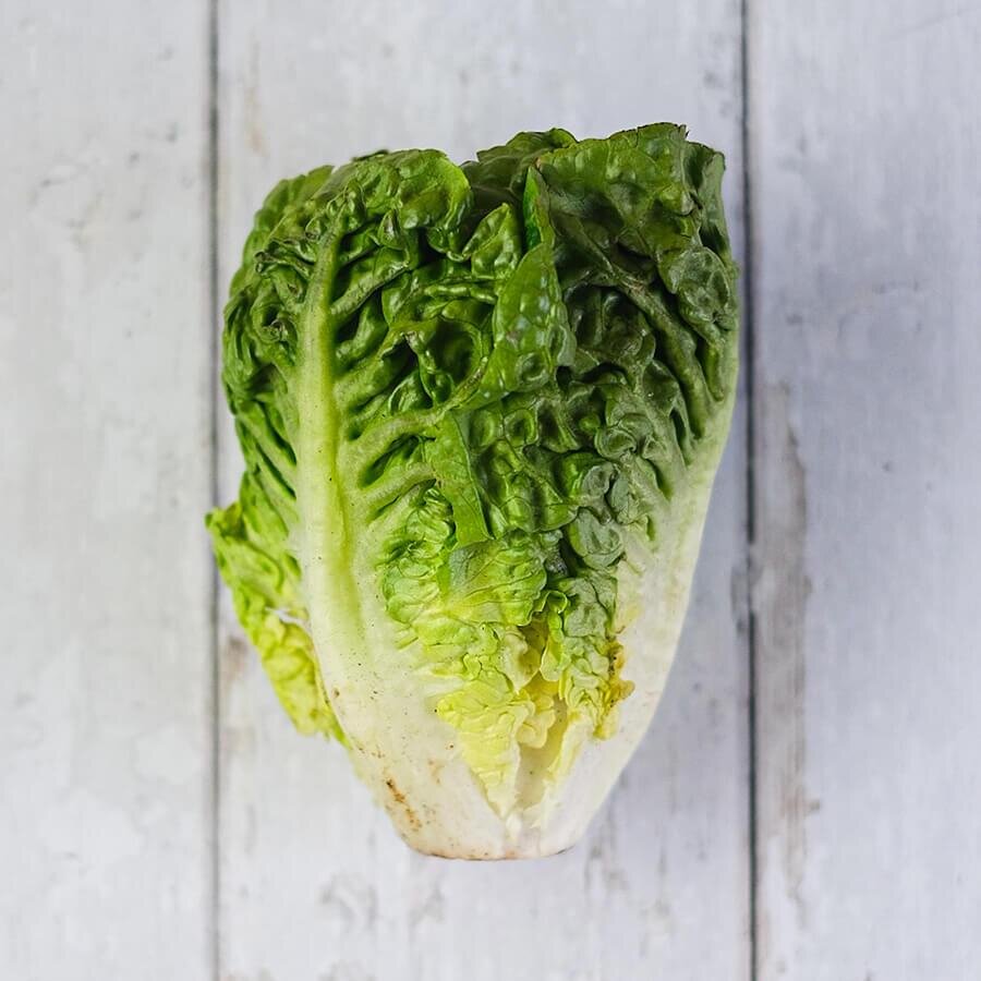 Romaine lettuce.jpeg
