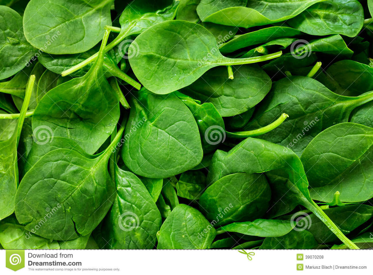 Spinach lettuce.jpeg