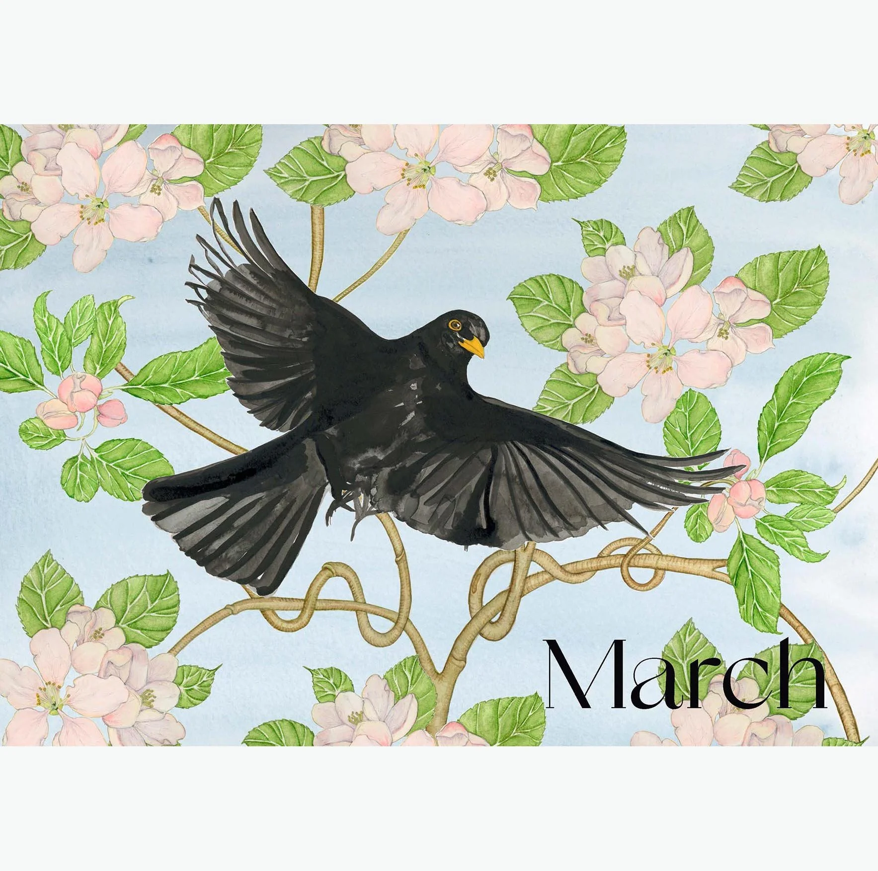 March 2023 square.jpg