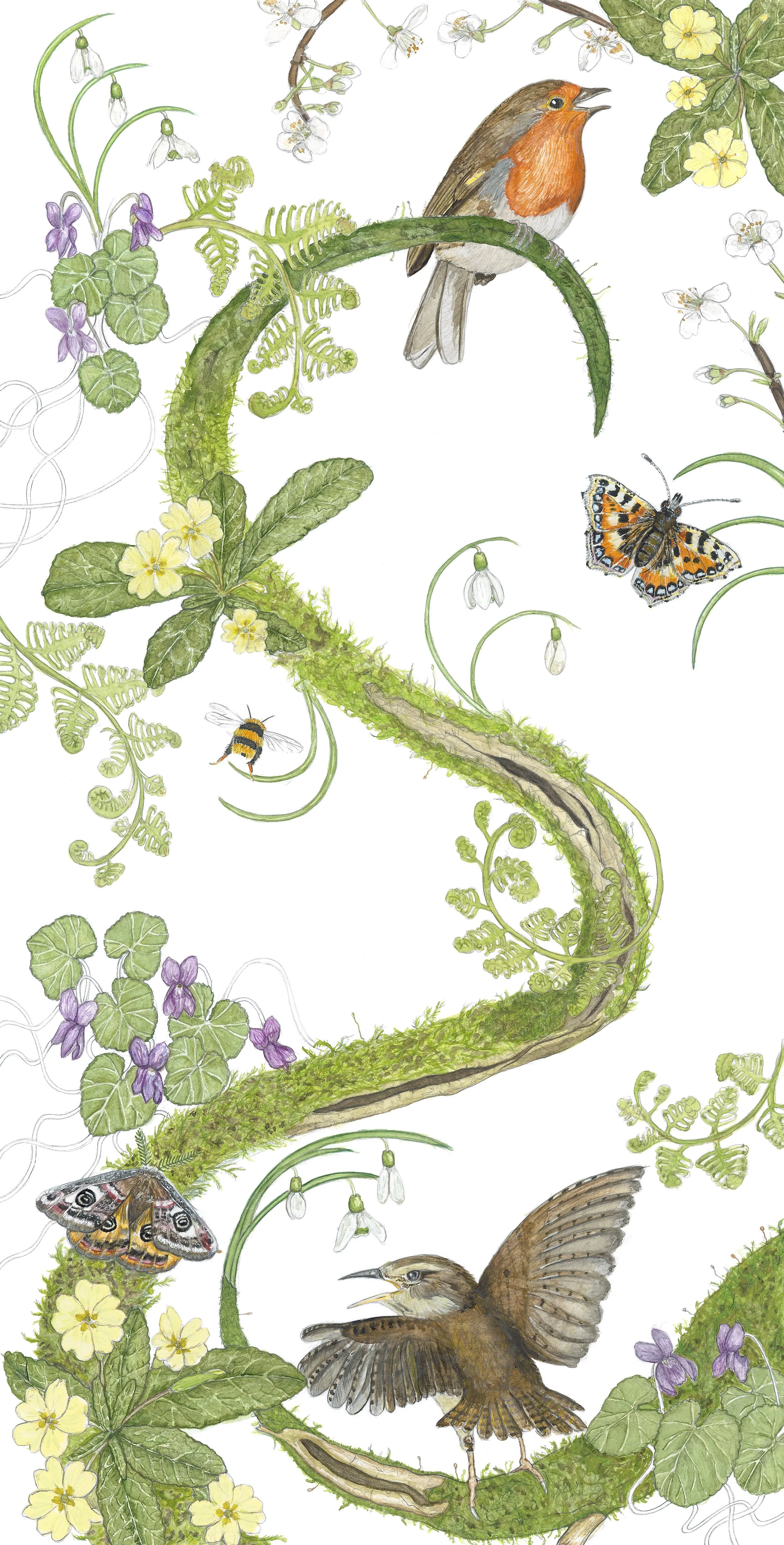 Spring - Wren and Robin.jpg