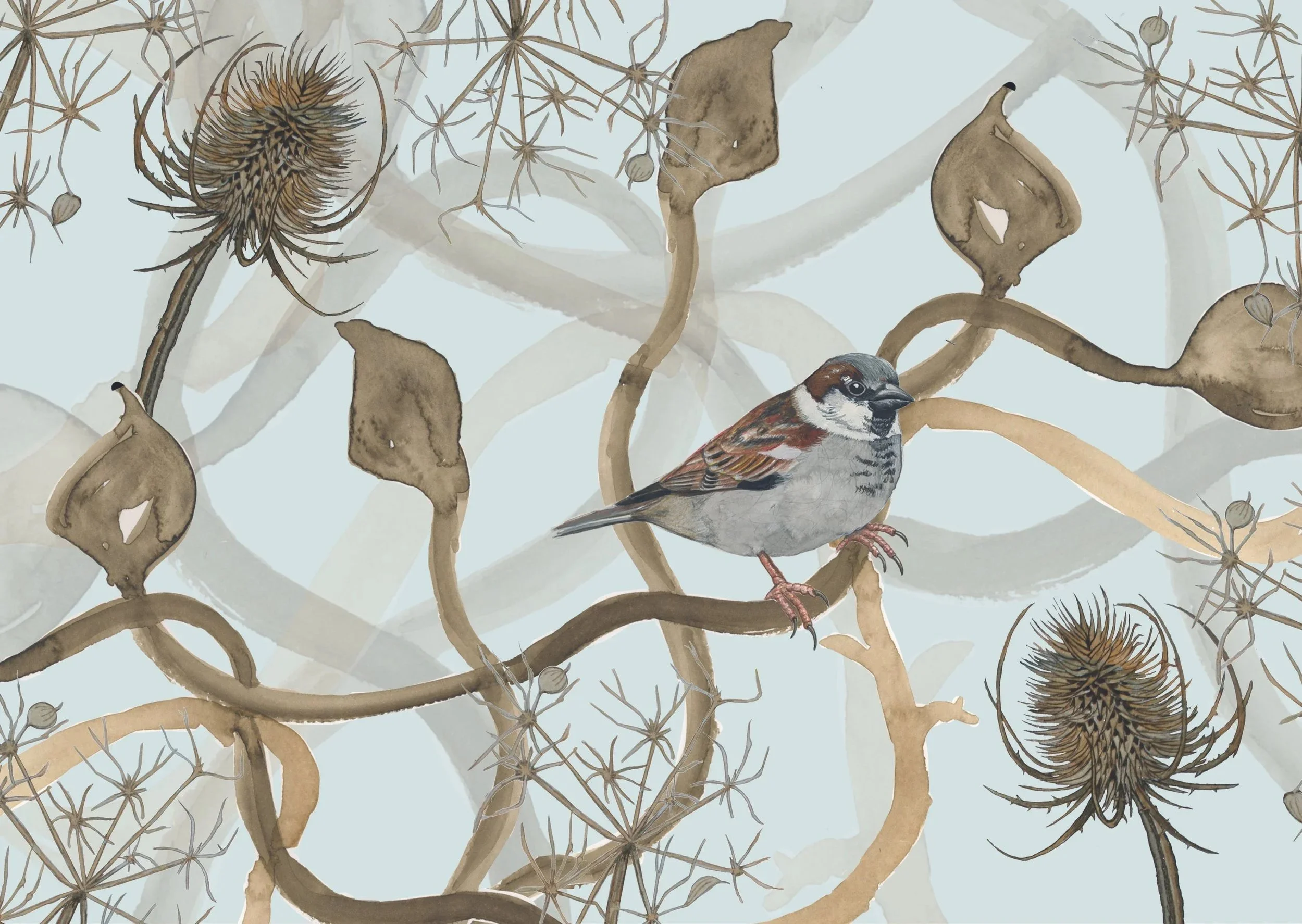 Illustration created for Wild Roots Calendars
