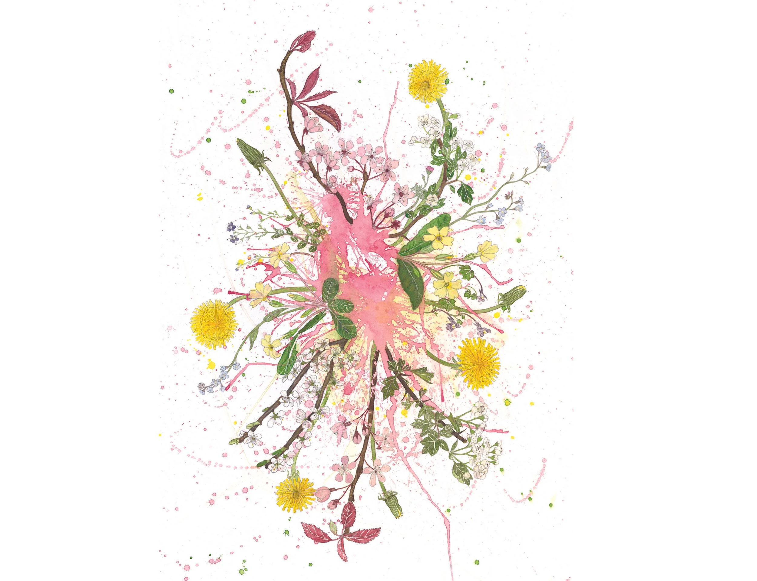 Spring A5 copy 2.jpg