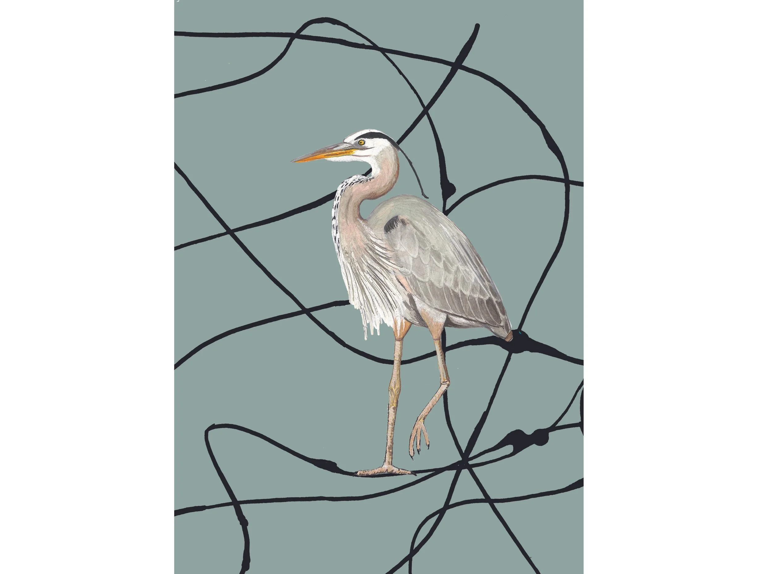 heron Front copy 2.jpg