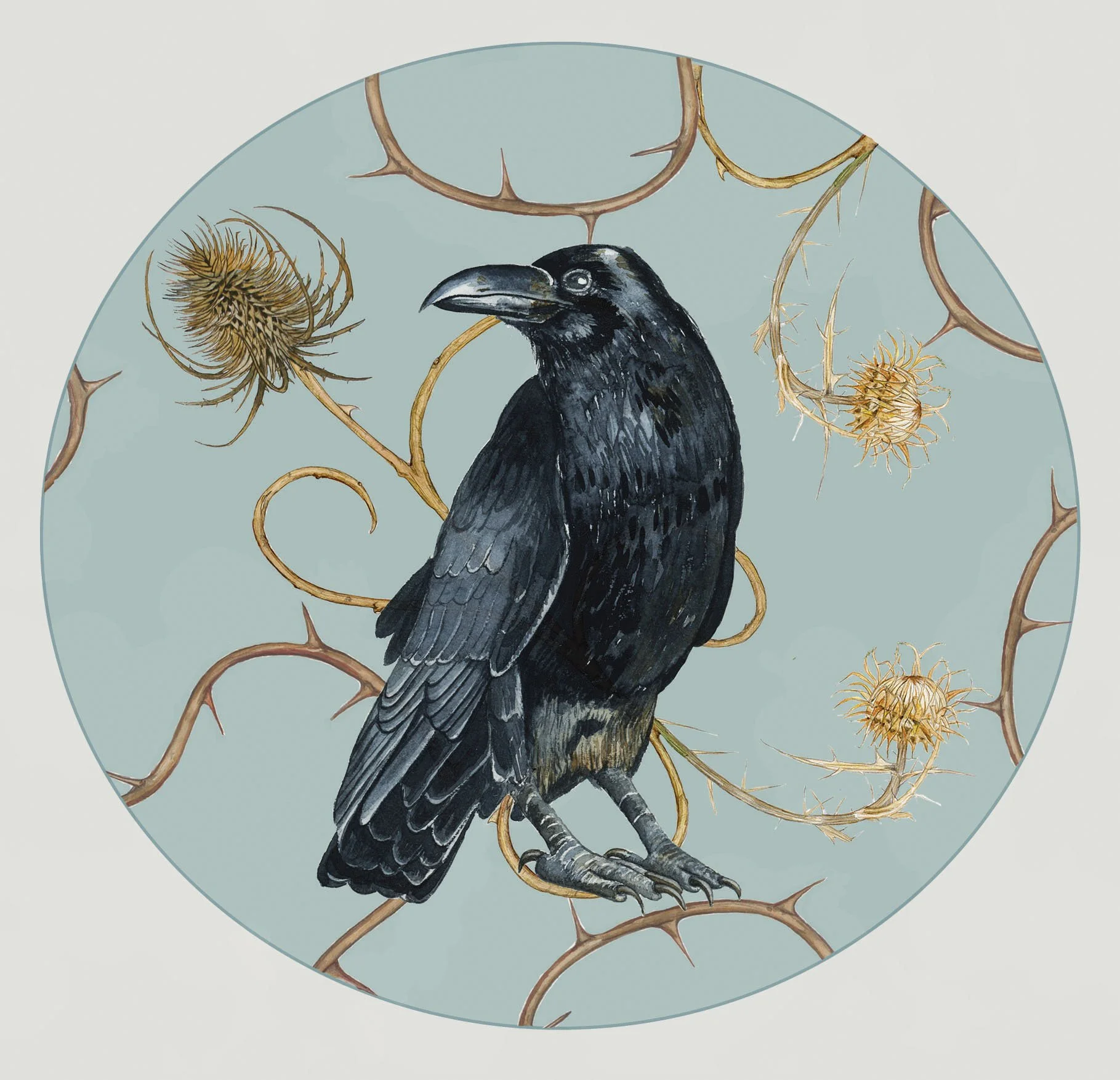 Edgar Allan Crow Front copy 2.jpg