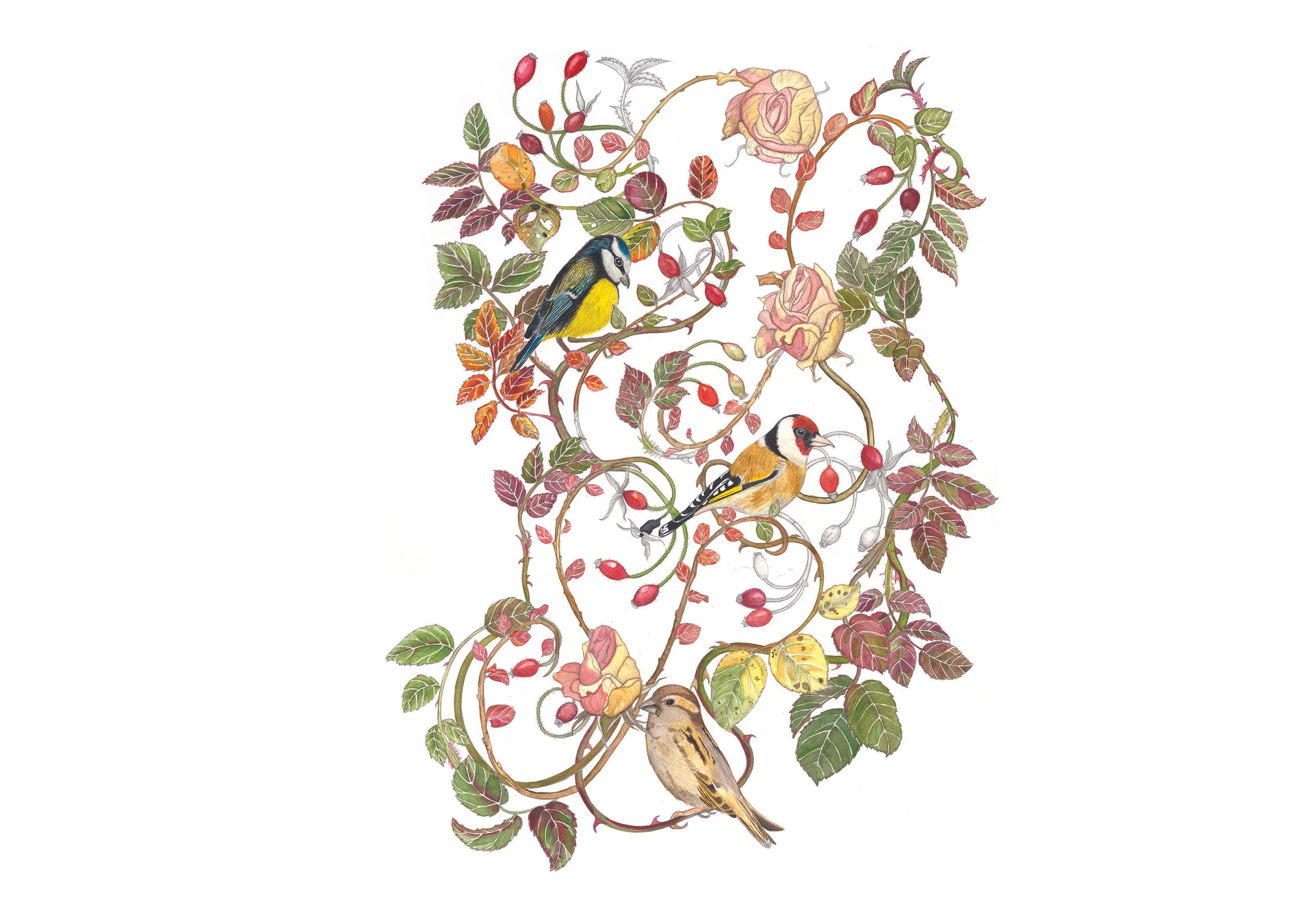 Autumn Front copy 2.jpg