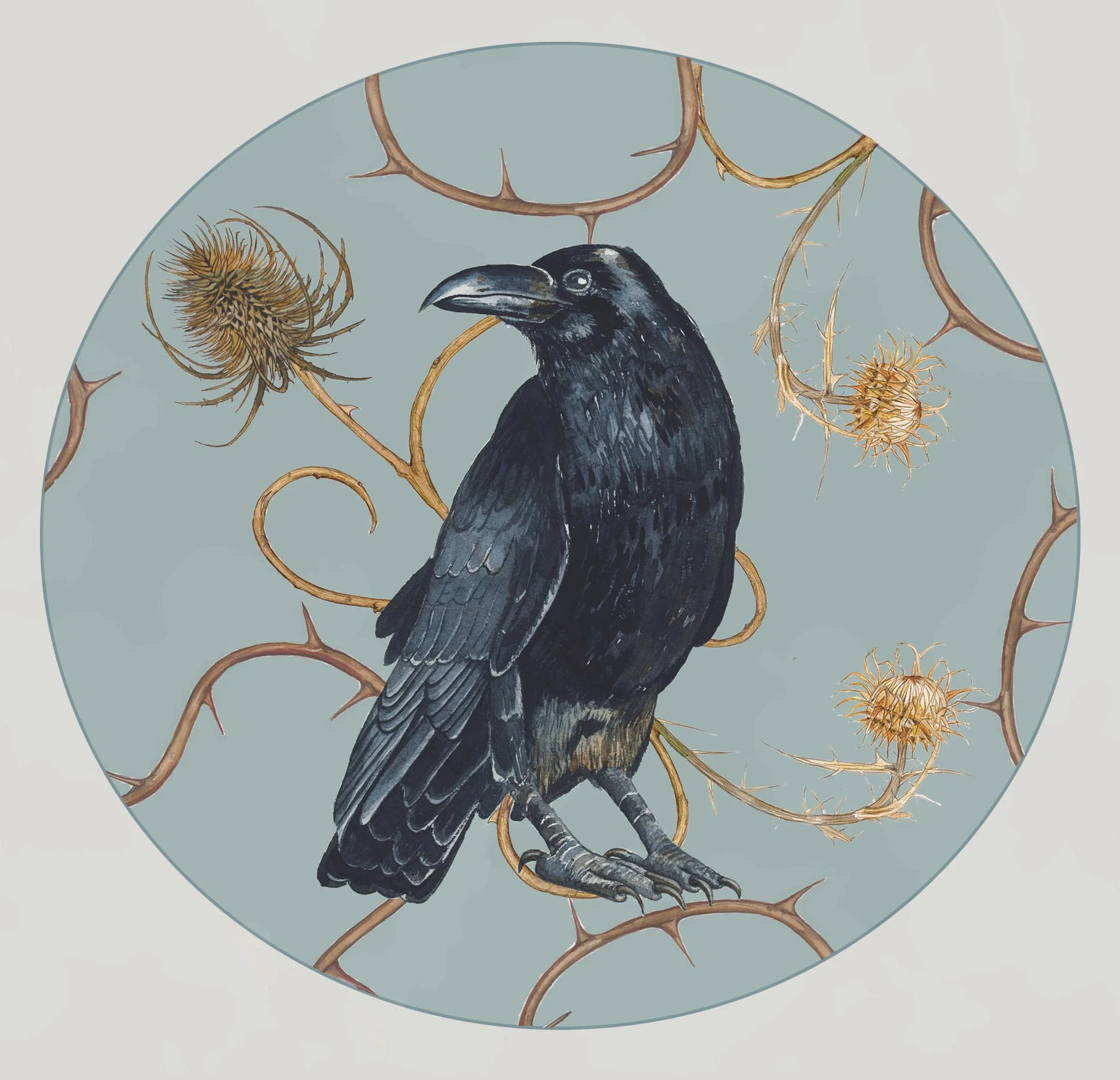 Edgar Allan Crow Front copy 2.jpg
