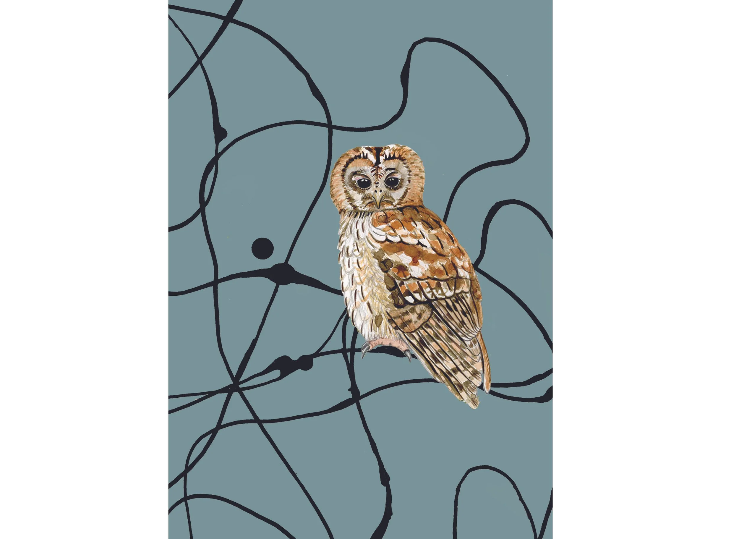 Owl Front copy 2.jpg