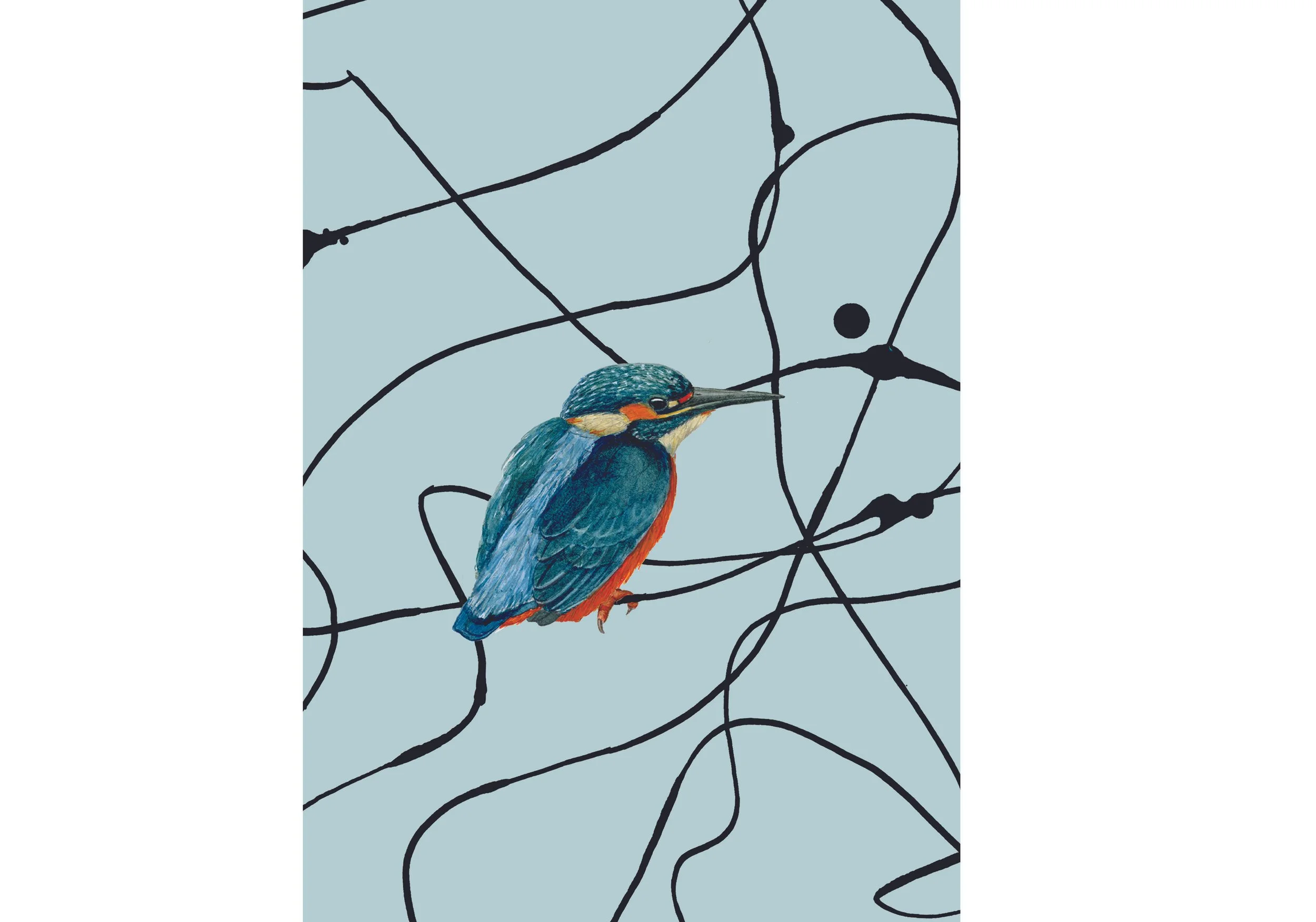 Kingfisher Front copy 3.jpg