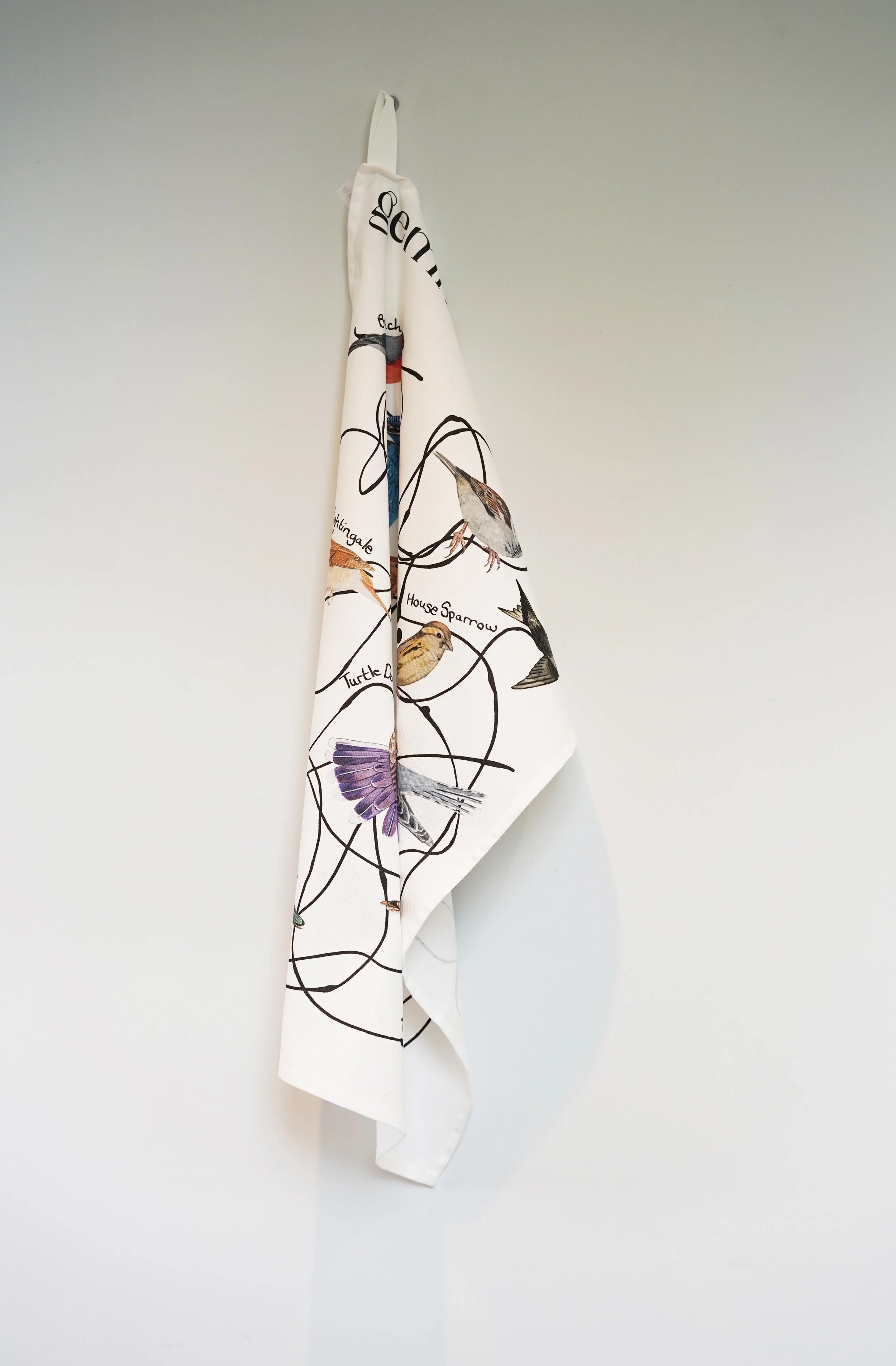 Conservation Status? Hanging.jpg