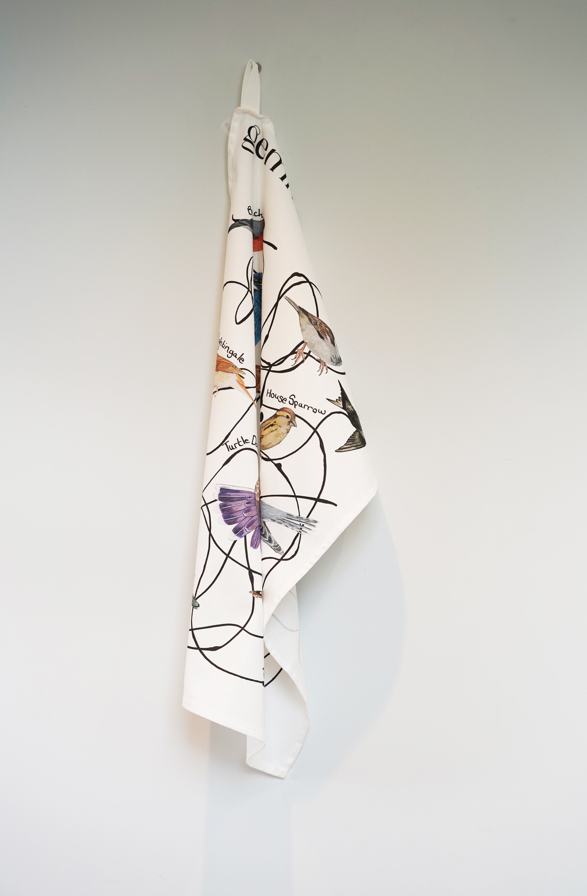 Conservation Status? Hanging.jpg