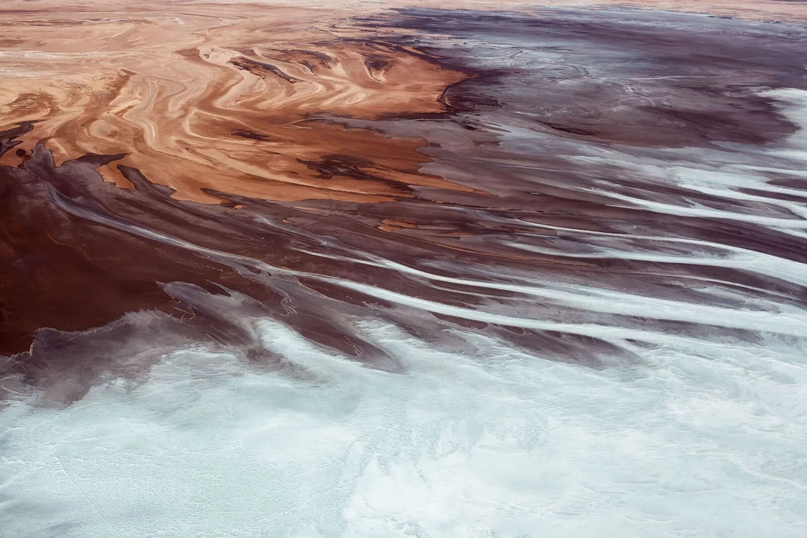 Lithium Mania • Wellcome Collection
