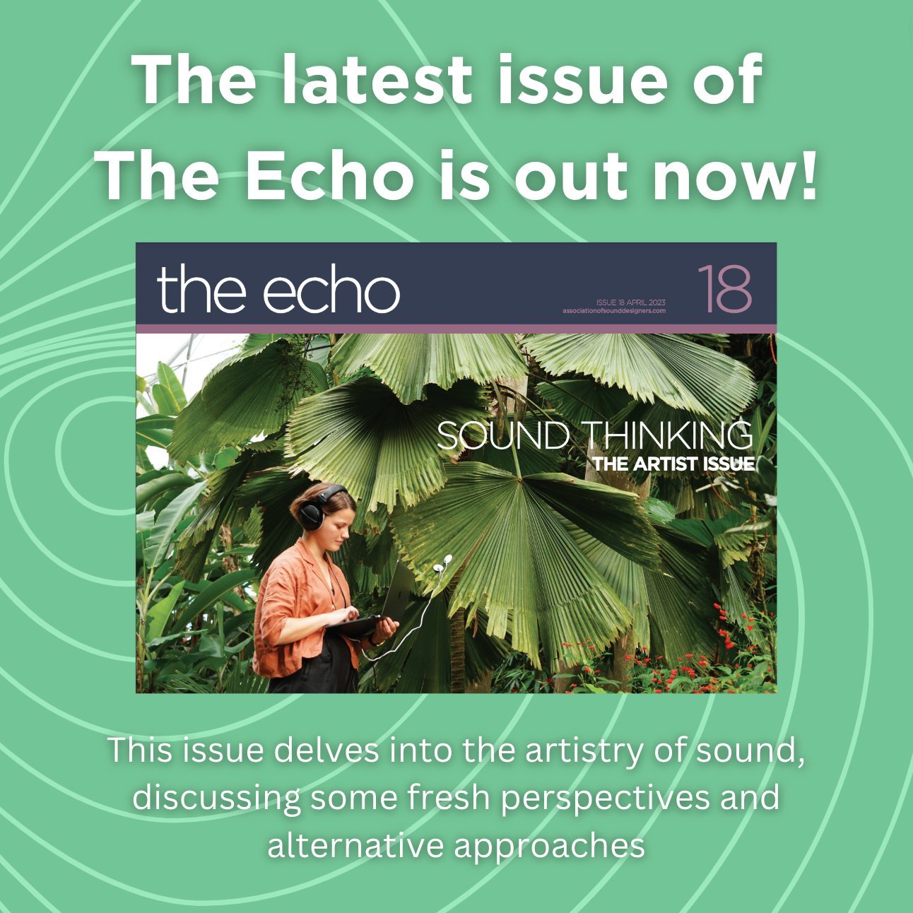 The Echo: Cover and interview
