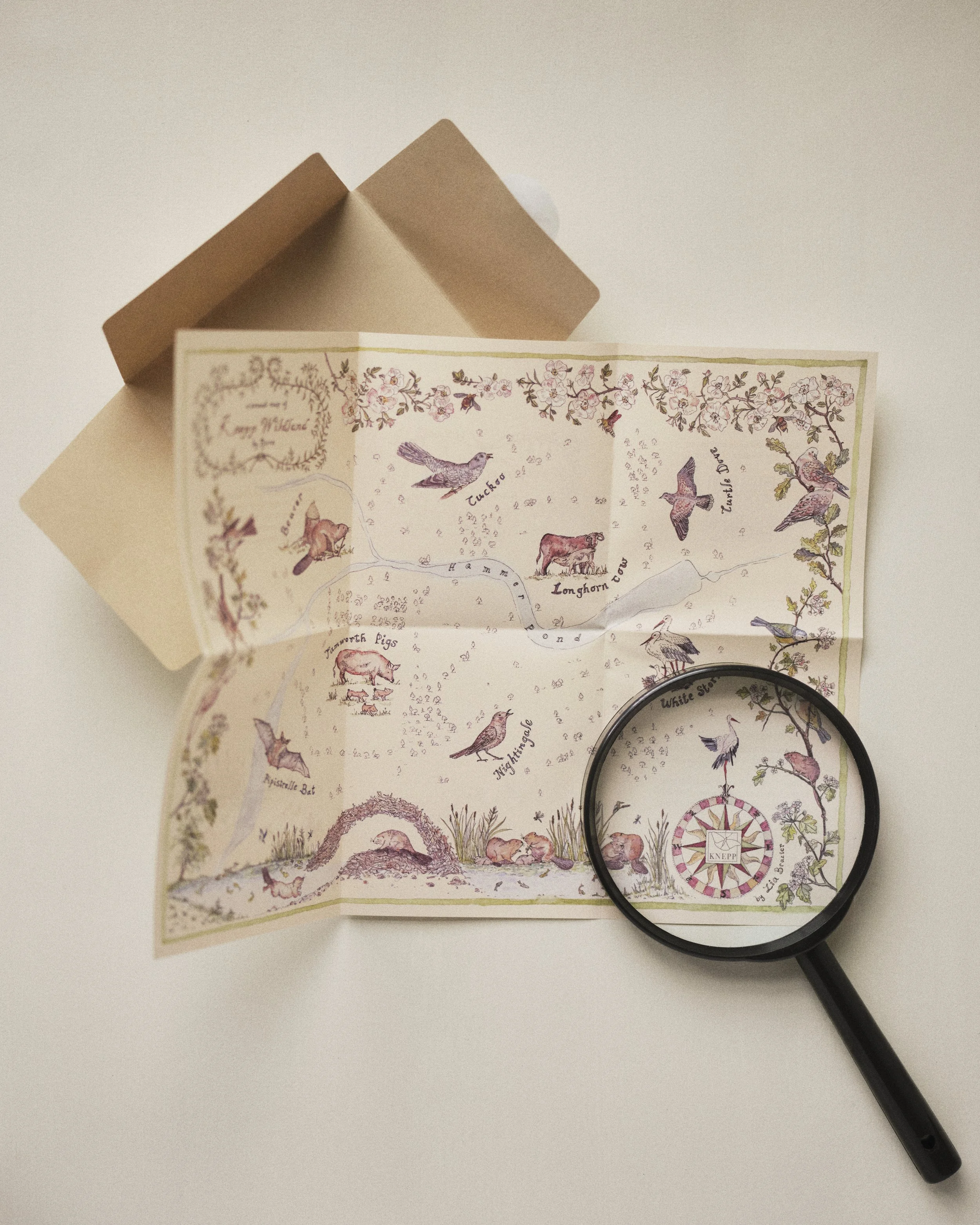 A Sound Map of Knepp Wildland • Ffern x Knepp