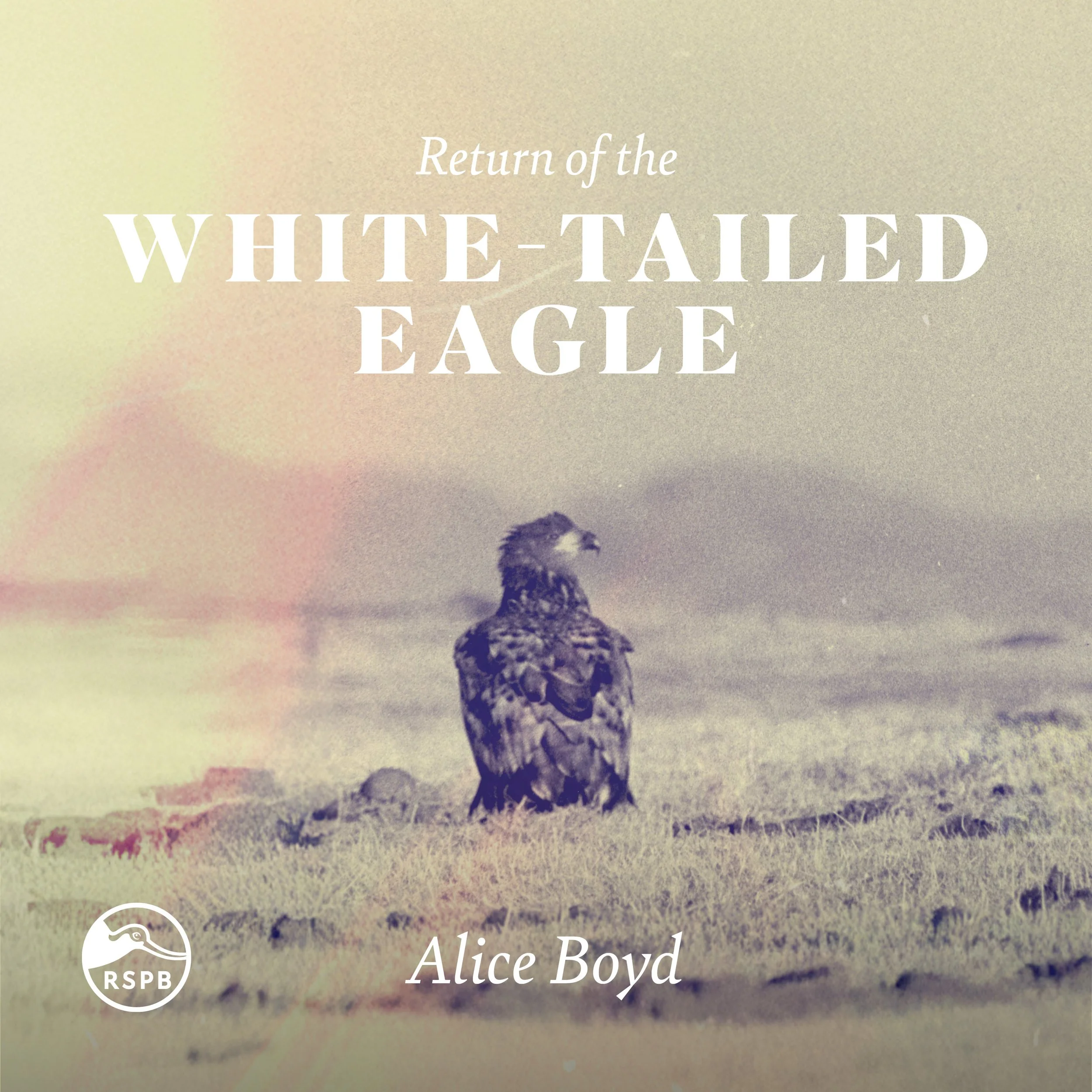 Single cover.jpg