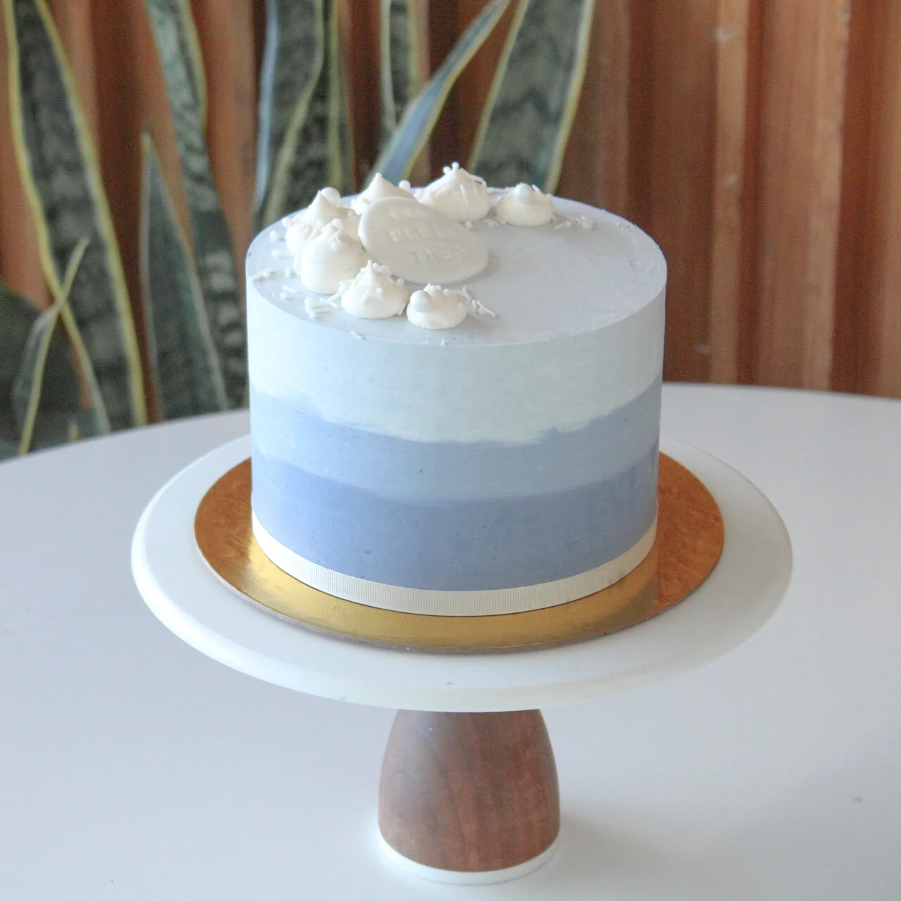 Simple Ombre Cake — Wild Rose Cakes