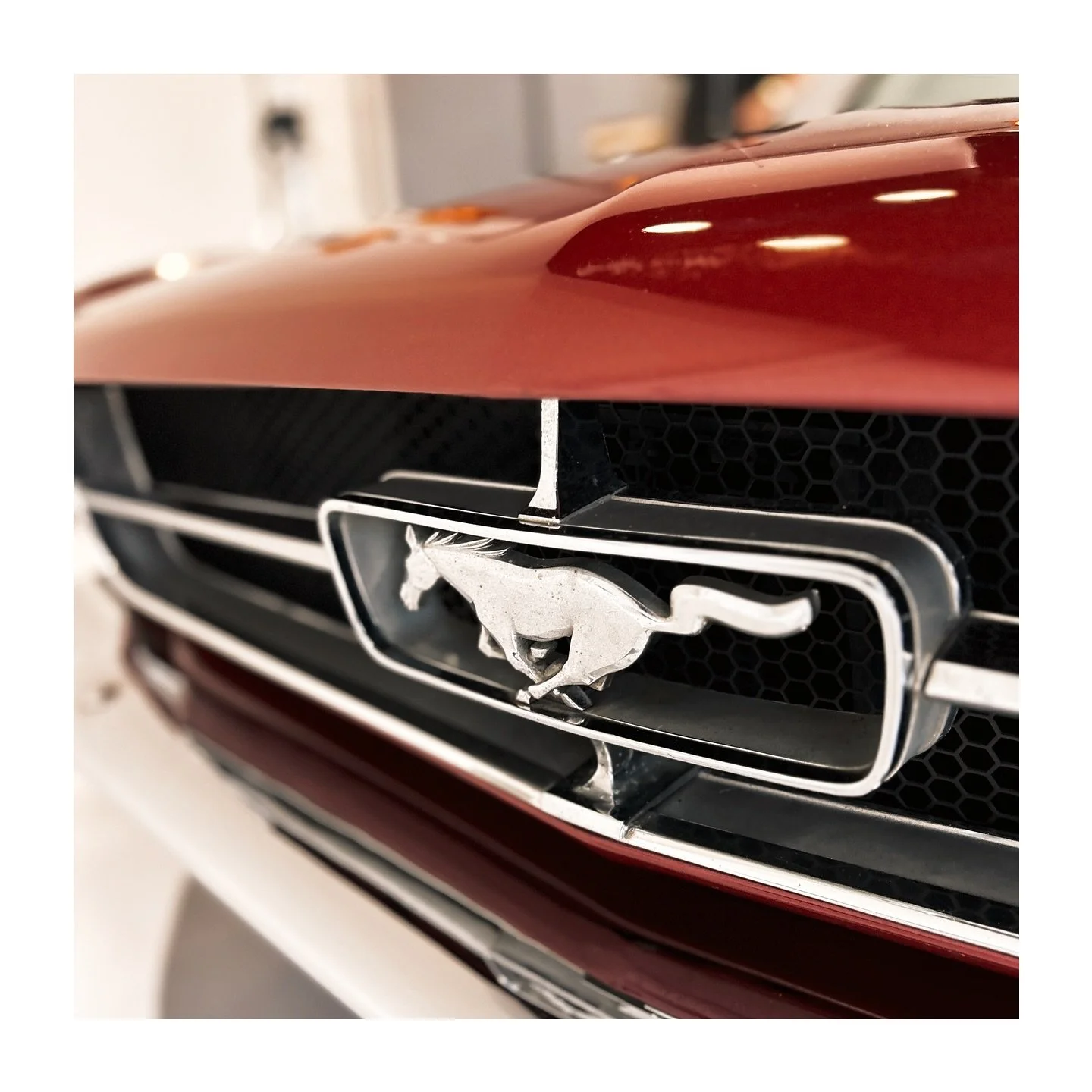 Dream car. 

#onset #bts #photography #producer #mustanglife