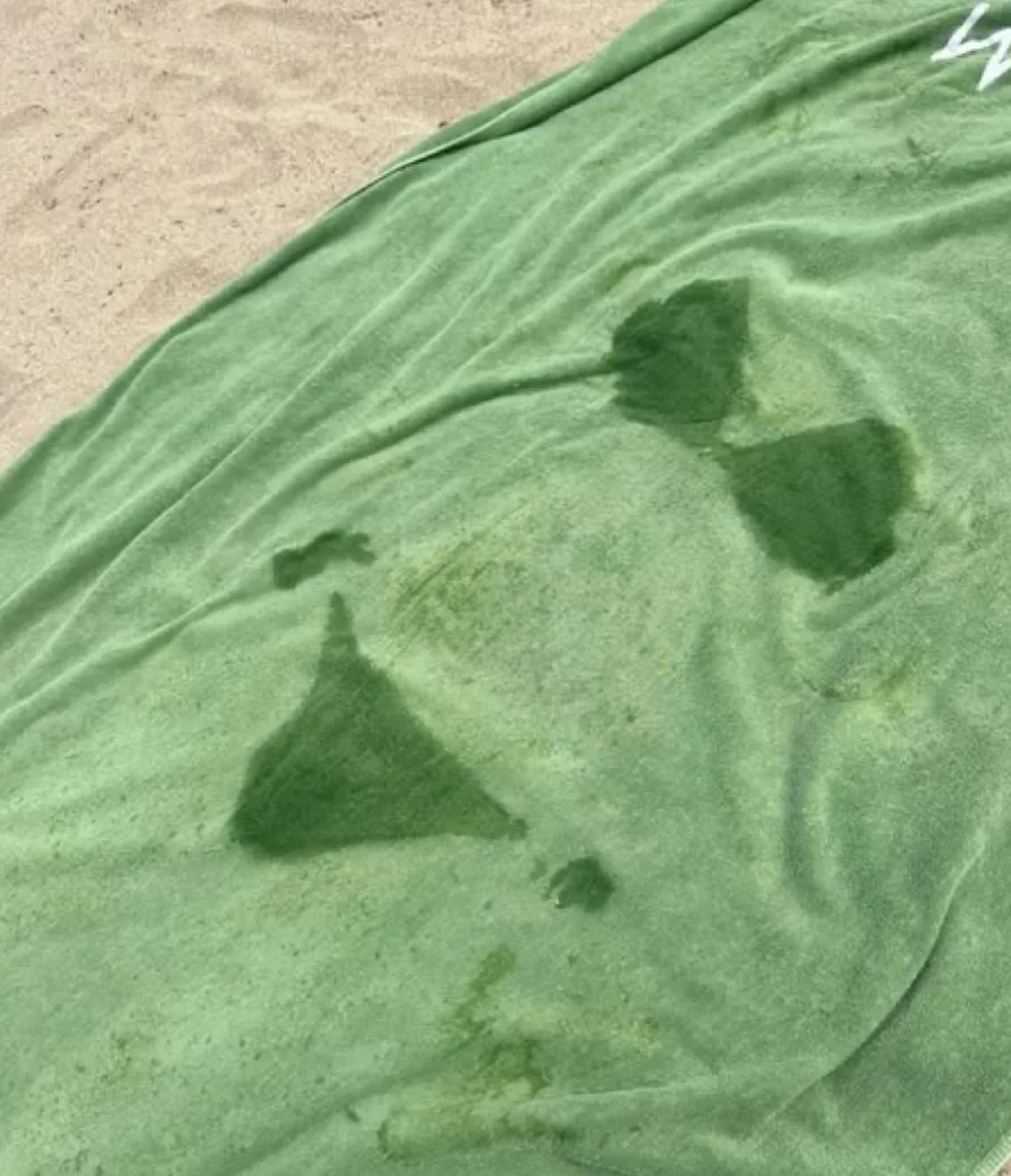 Happy St. Patty&rsquo;s Day from Whitney&rsquo;s! Meet us where the green meets the sea. 🌊🍀

Live music lineup this week:
Wednesday &amp; Thursday &ndash; Zion Albert | 5&ndash;8pm
Friday &ndash; Akiem Esdaile | 6-9pm
Saturday &ndash; Raquel Santan