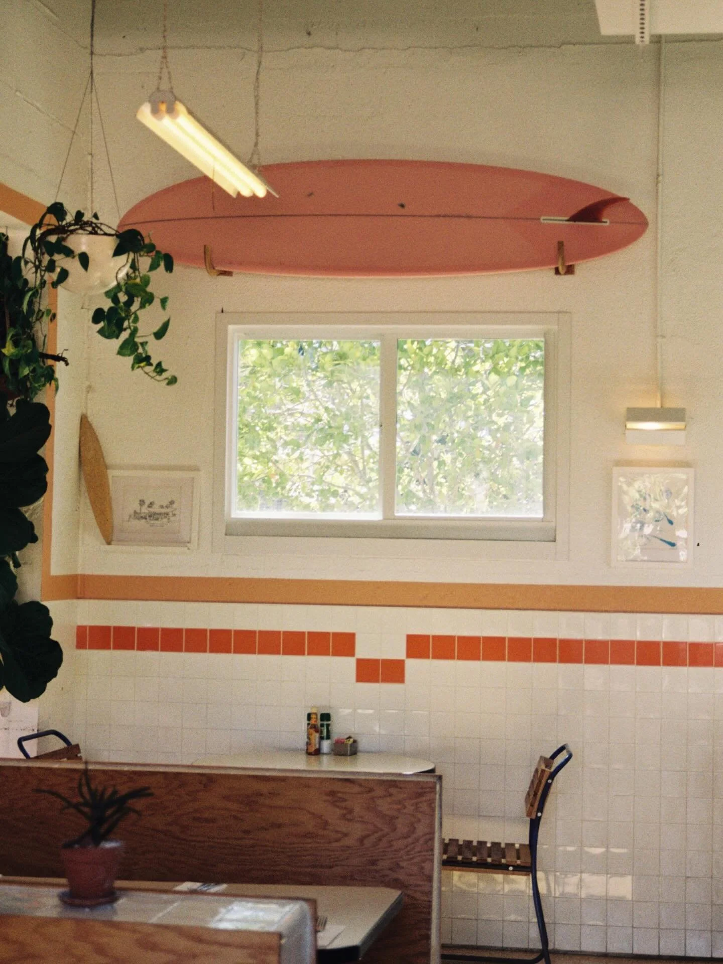 Whitney&rsquo;s on film. 🎞️🍋 

Live music with Zion Albert, tonight 6pm-9pm.