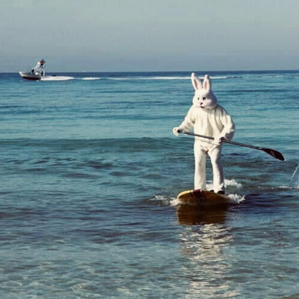 Happy Easter from Whitney&rsquo;s! 🐣🌺🪺 See you at brunch! 

Live music with Chad Tallman from 12&ndash;3pm 🎶